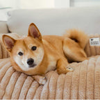 Fluff Nest Bolster Couch Mat