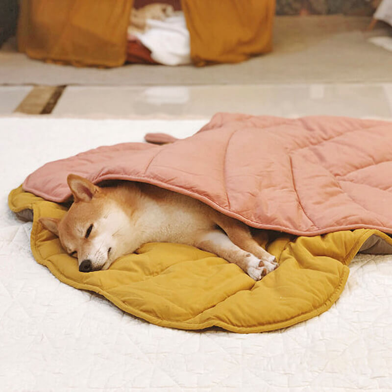 Leaf Luxe Pet Blanket Image principale du produit