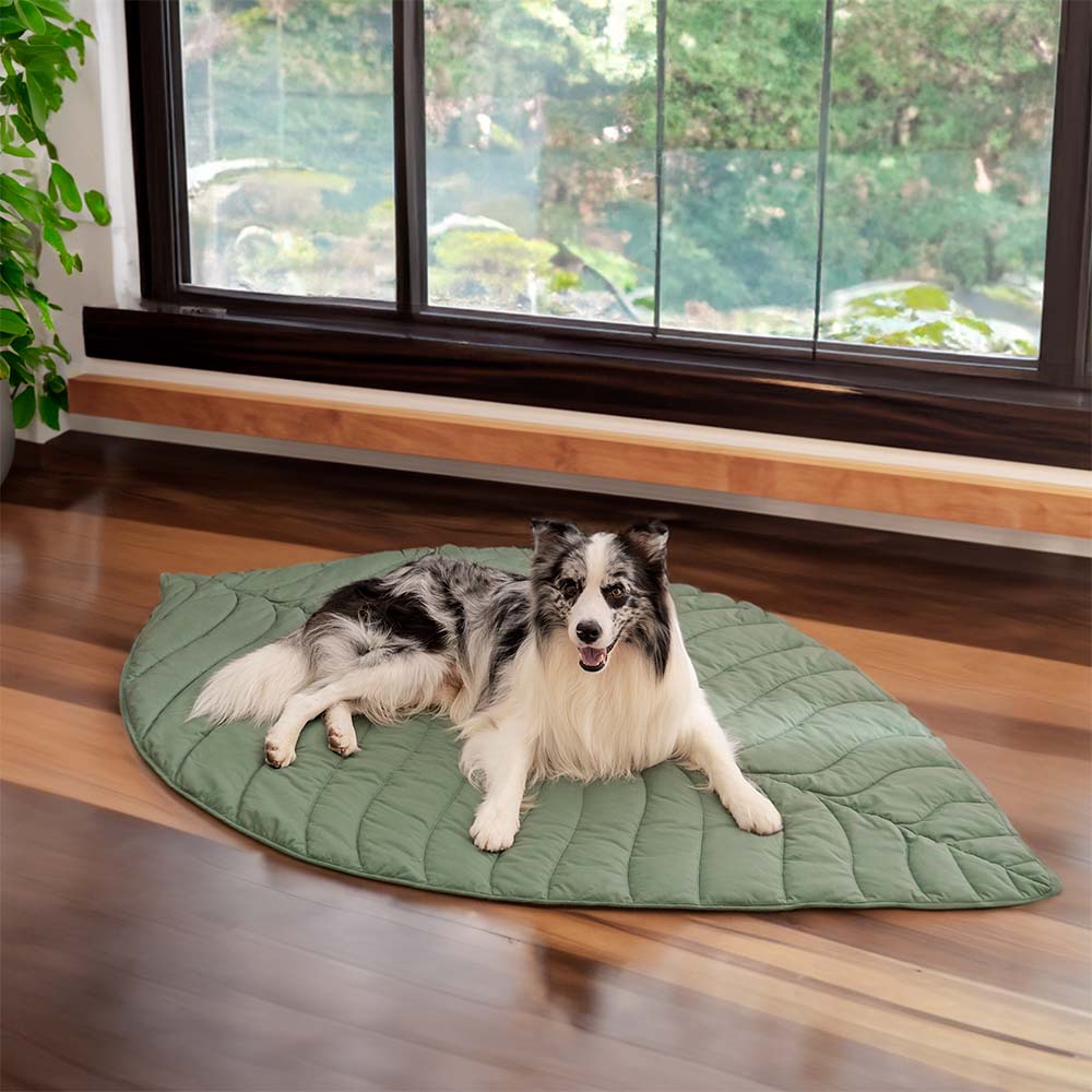 Leaf Luxe Pet Blanket