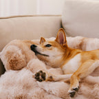 Fuzzy Calm Pet Sofa Met