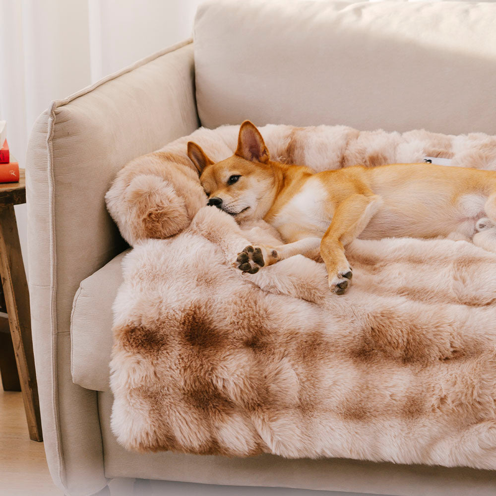 Fuzzy Calm Pet Sofa Met
