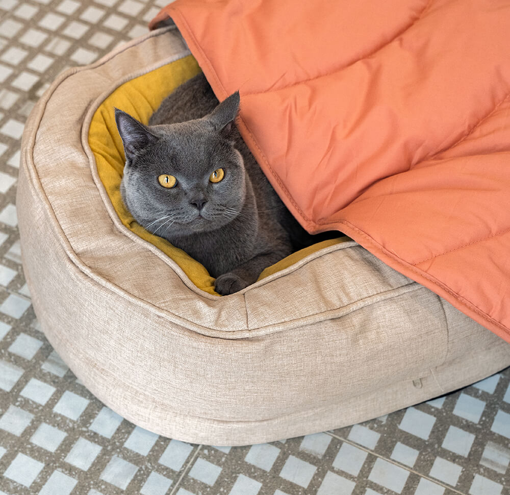 Leaf Luxe Pet Blanket