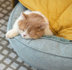 Leaf Luxe Pet Blanket