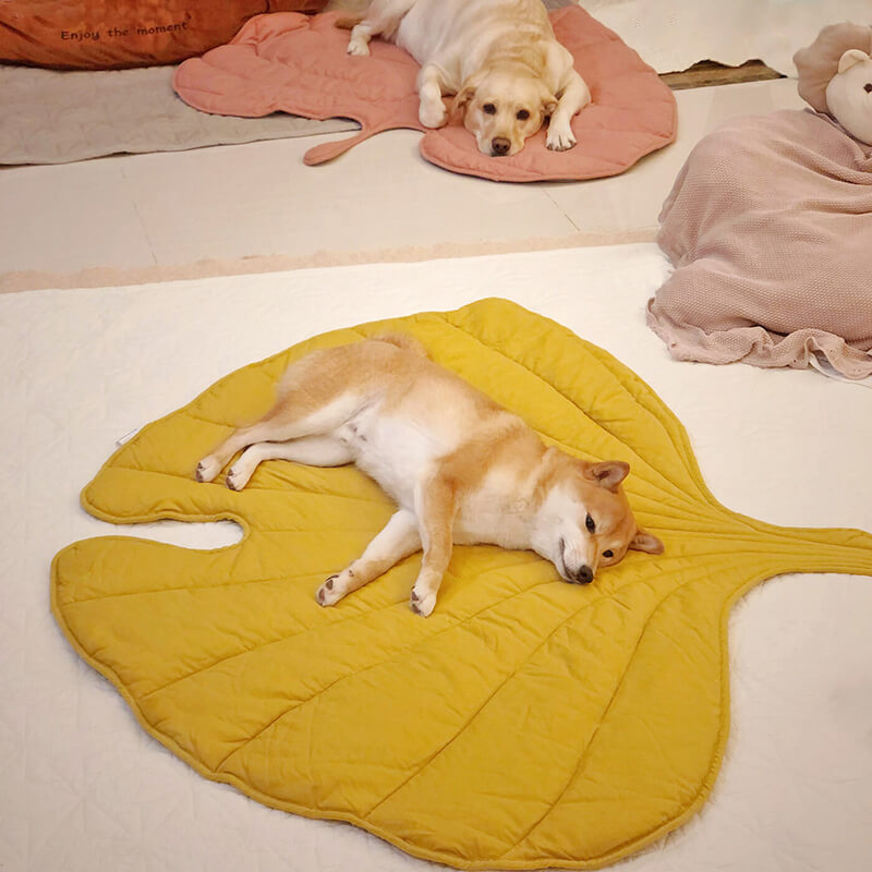 Leaf Luxe Pet Blanket