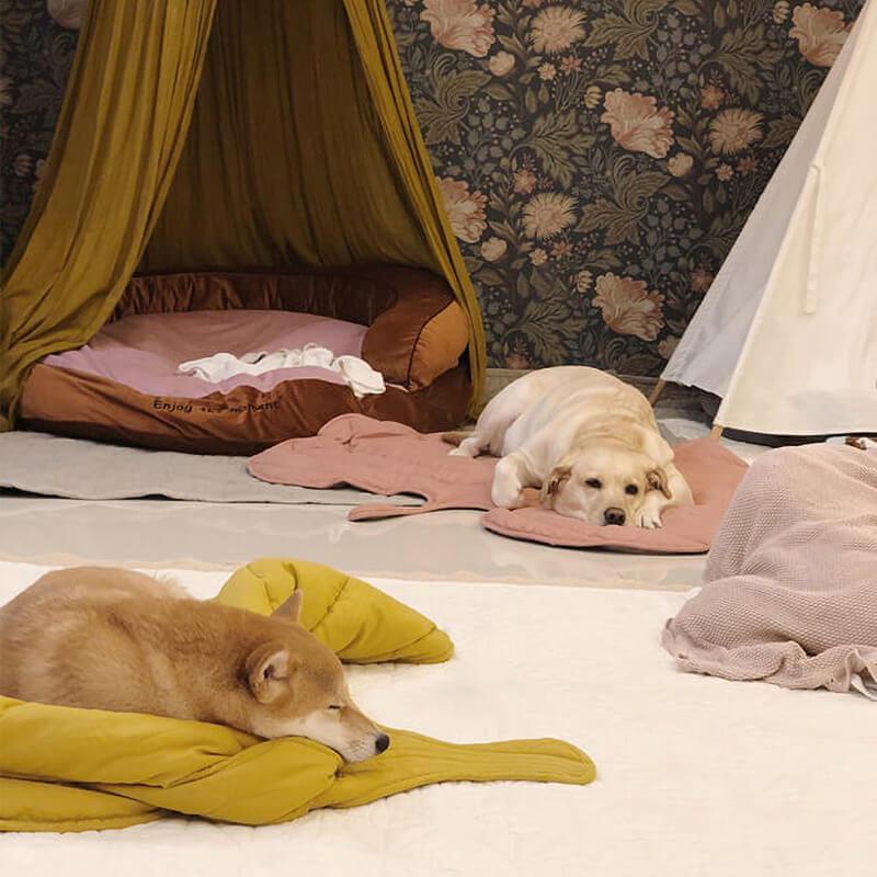Leaf Luxe Pet Blanket