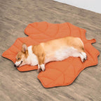 Leaf Luxe Pet Blanket