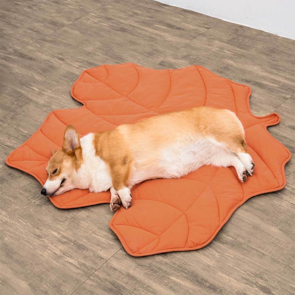 Leaf Luxe Pet Blanket