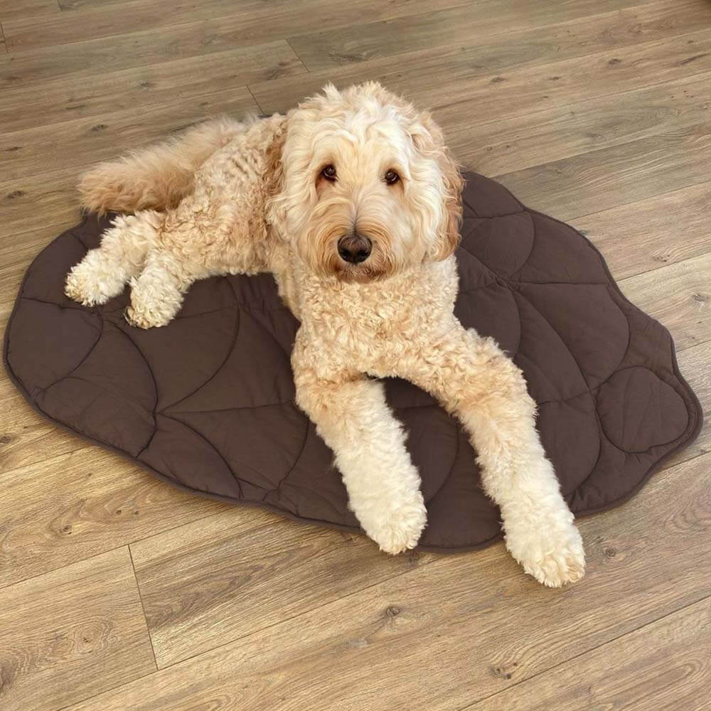 Leaf Luxe Pet Blanket